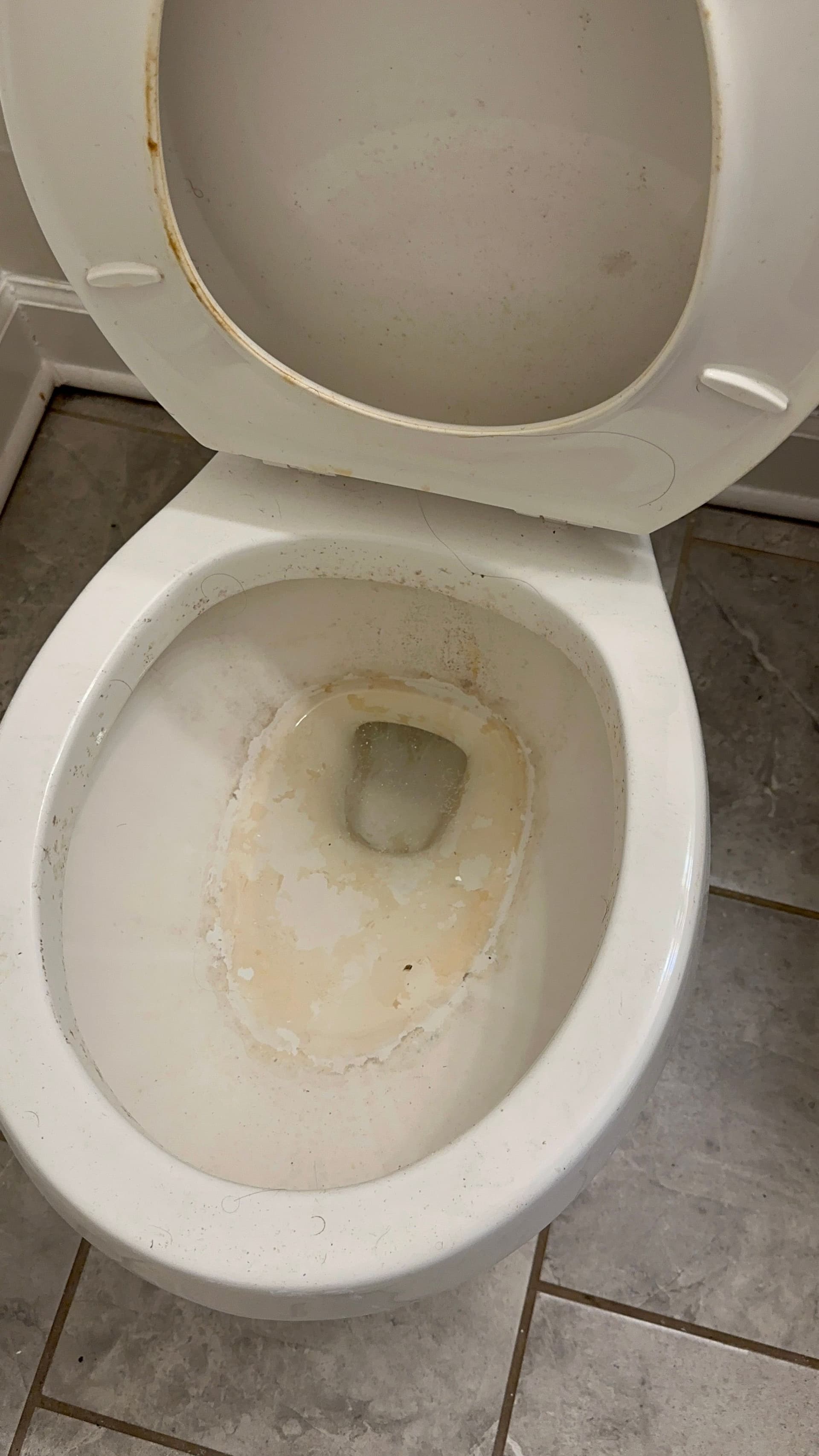 A stained toilet bowl before cleaning